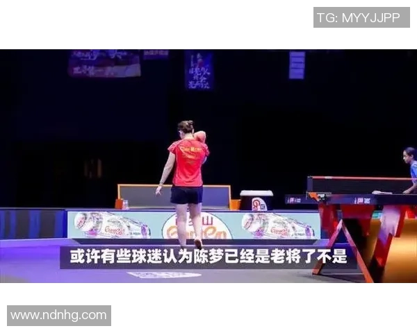 北京排球队的拼搏之路与大满贯梦想的追逐历程